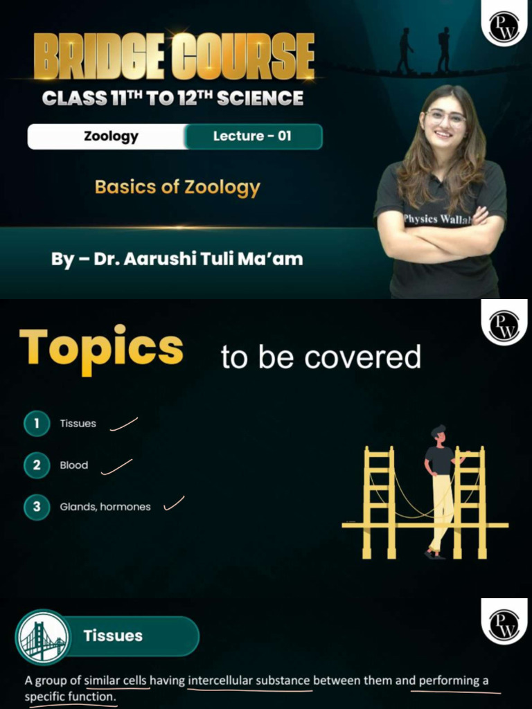 Class 12th Zoology - Class Notes - 11th To 12th Bridge Course (Science ...