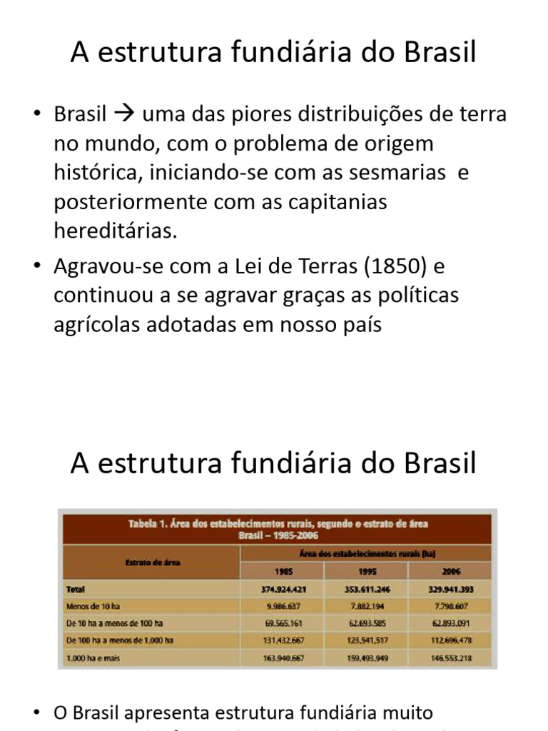 A Estrutura Fundiaria Do Brasil | PDF