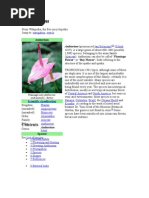 Download Anthurium by Yuni Nurcahyani SN76357130 doc pdf