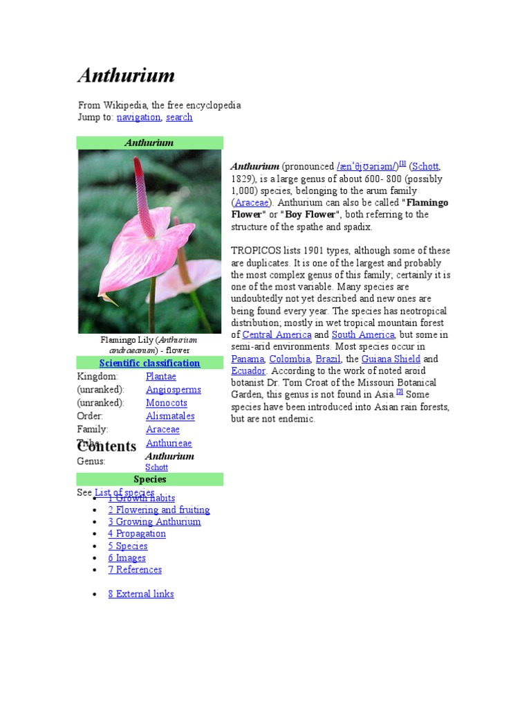 Anthurium: Genus Overview and Care | PDF | Flowers | Landscape