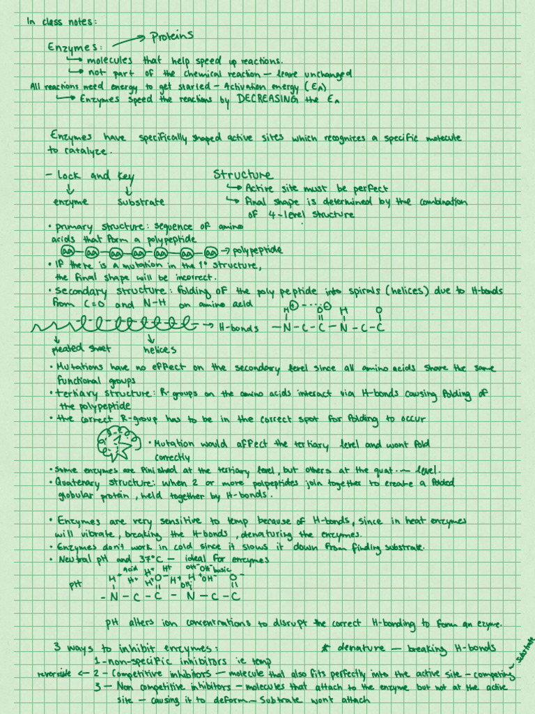 Biochemistry Task 3 | PDF