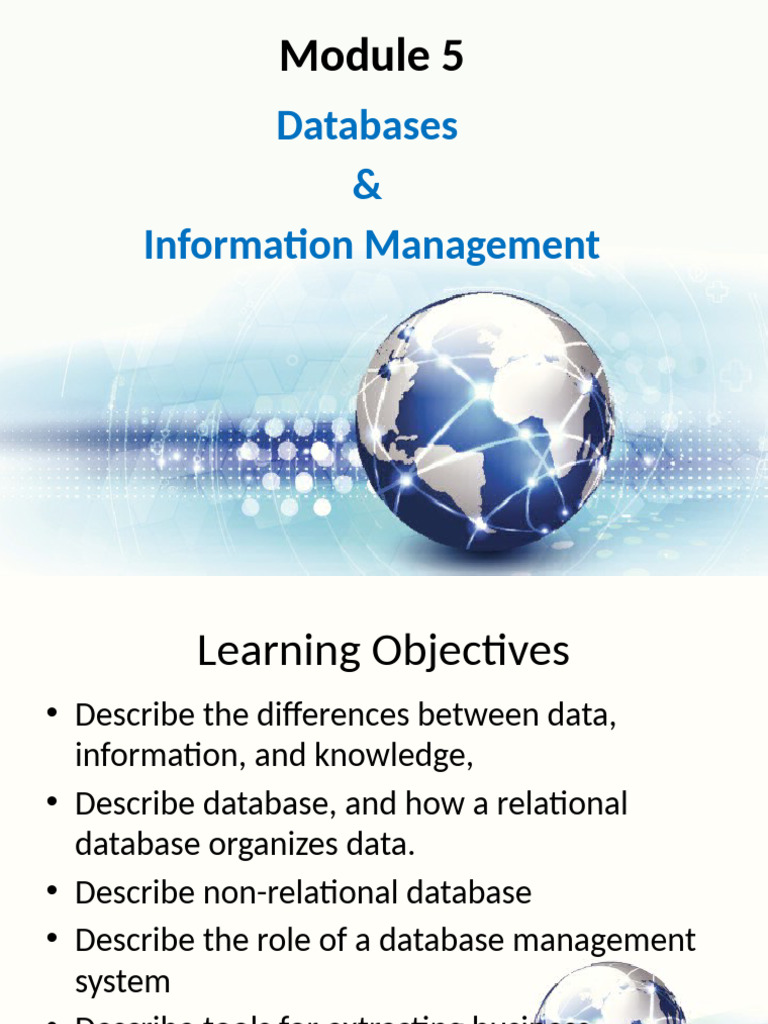 MISY2010 - Module 5 Database Student | PDF