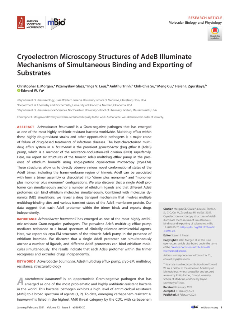 Cryoelectron Microscopy Structures of AdeB Illuminate Mechanisms of ...
