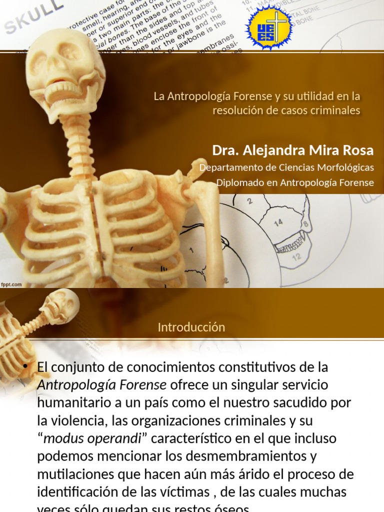 Bones | PDF
