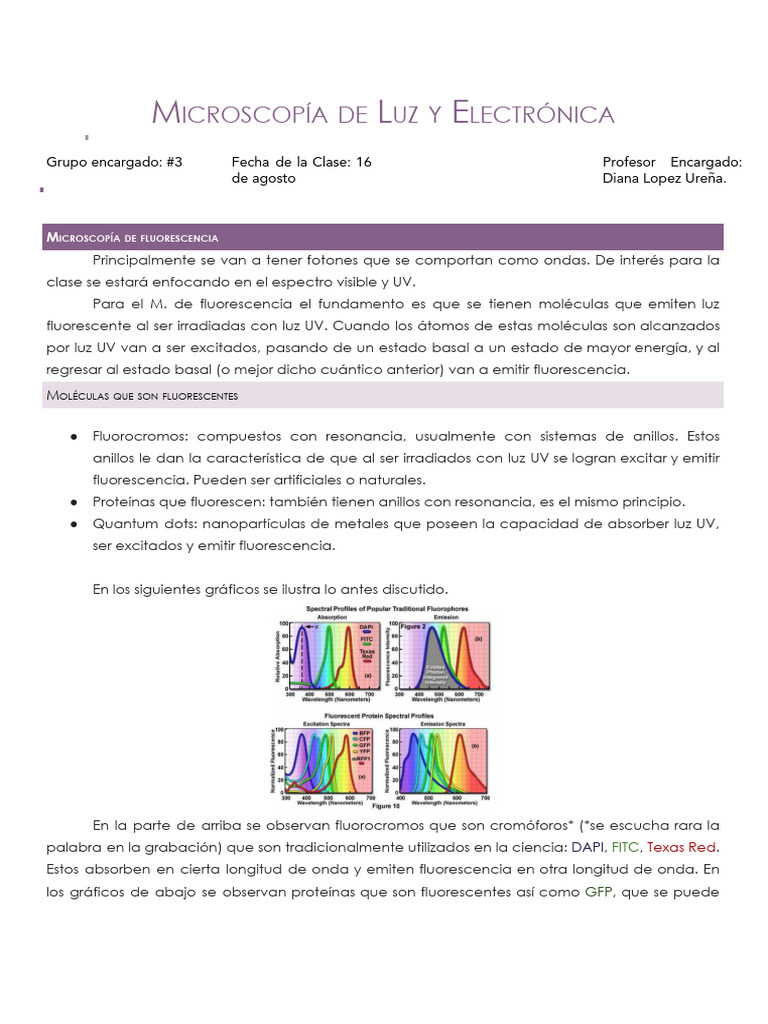 B3 Microscopía De Luz Y Electrónica Pdf