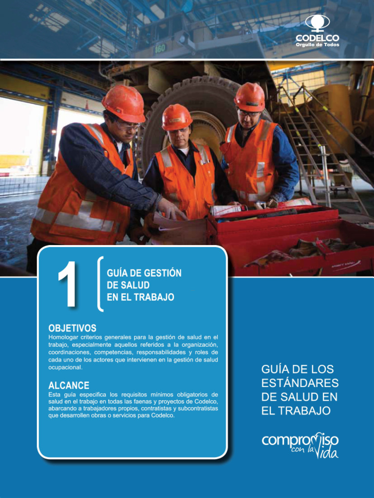 Estándares de Salud en el Trabajo | PDF | Seguridad y salud ocupacional ...