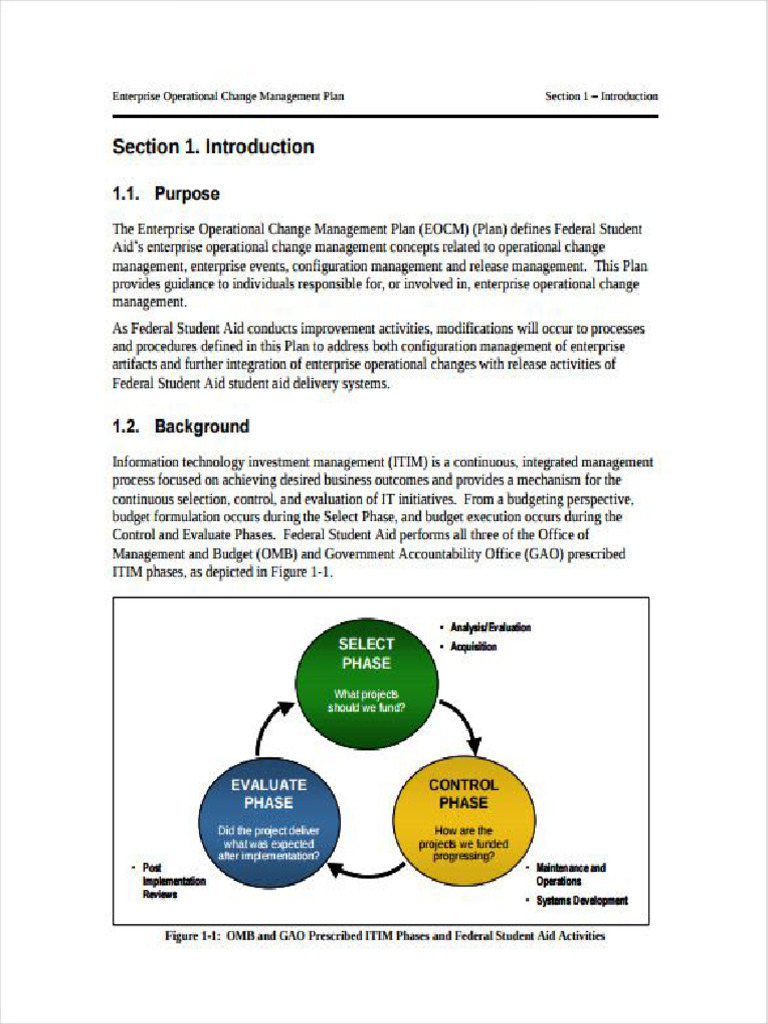 Enterprise Operational Change Management Plan Example | PDF