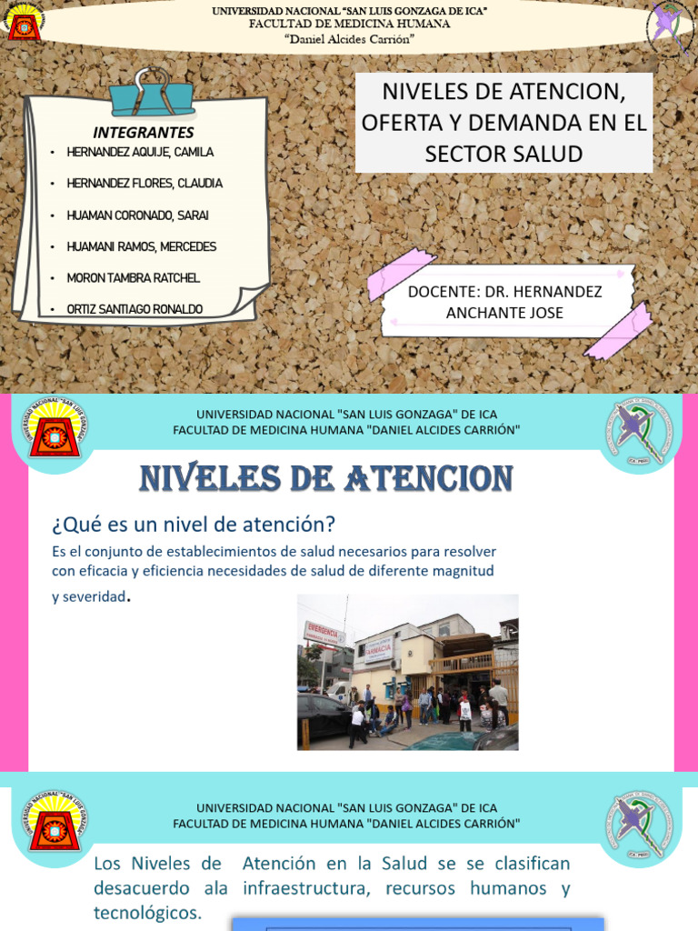 Niveles de Atencion, Oferta y Demanda en El Sector Salud | PDF ...