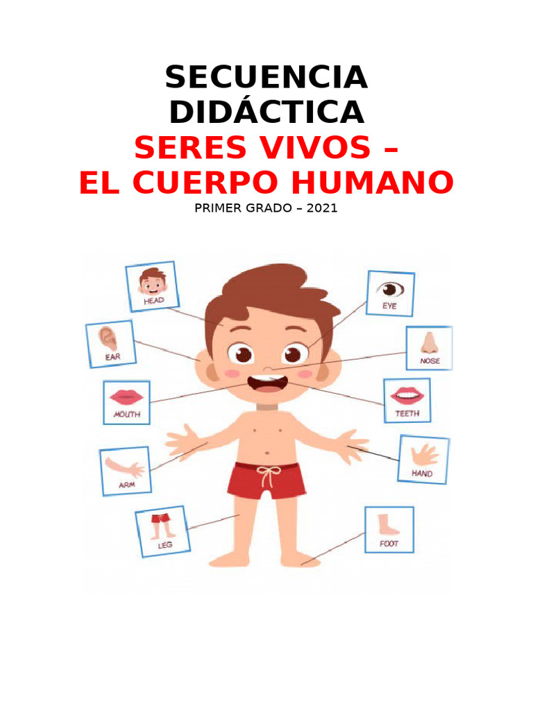 1° Grado - Secuencia III CUERPO HUMANO | PDF