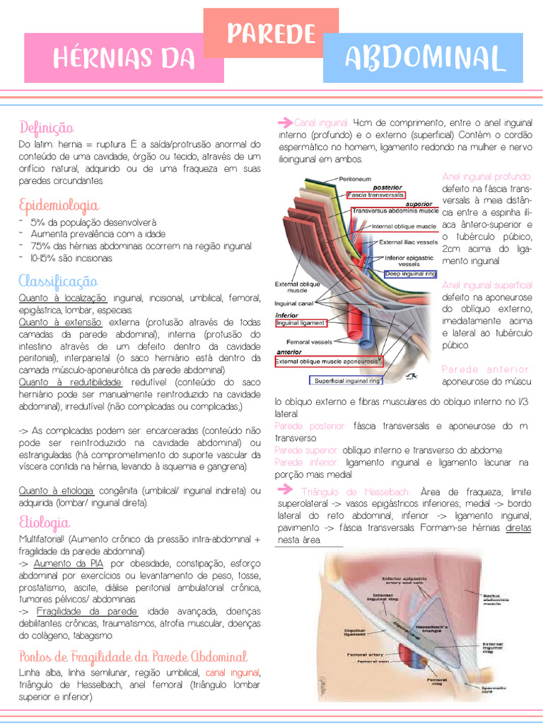 Hérnias Da Parede Abdominal | PDF
