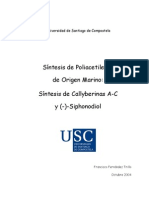PHD Dissertation-2004-Fernández-Trillo