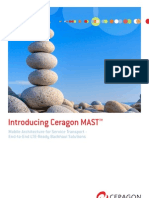 Ceragon - Mast - Brochure