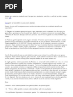 Download Plantarea tuia by gcpuiu SN76368421 doc pdf