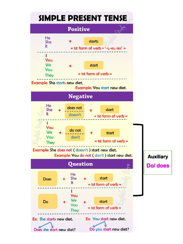 Present Simple Structure and Spelling Rules | PDF