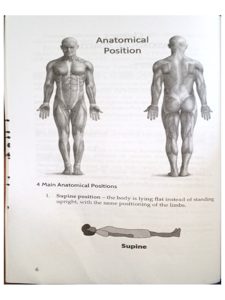 Chapter 1-Anatomical Positions | PDF