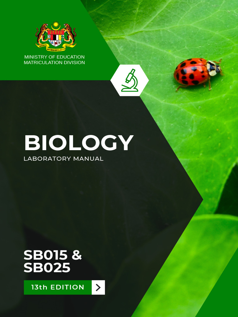 SB Ebook | PDF