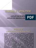 Enzimele Lipolitice