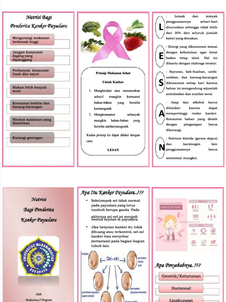 Leaflet Kanker Payudara Pdf