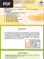 Maniobra de Crede | PDF | Urología | Sistema genitourinario