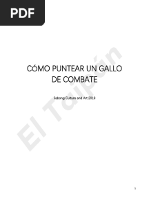 Manual Punteo