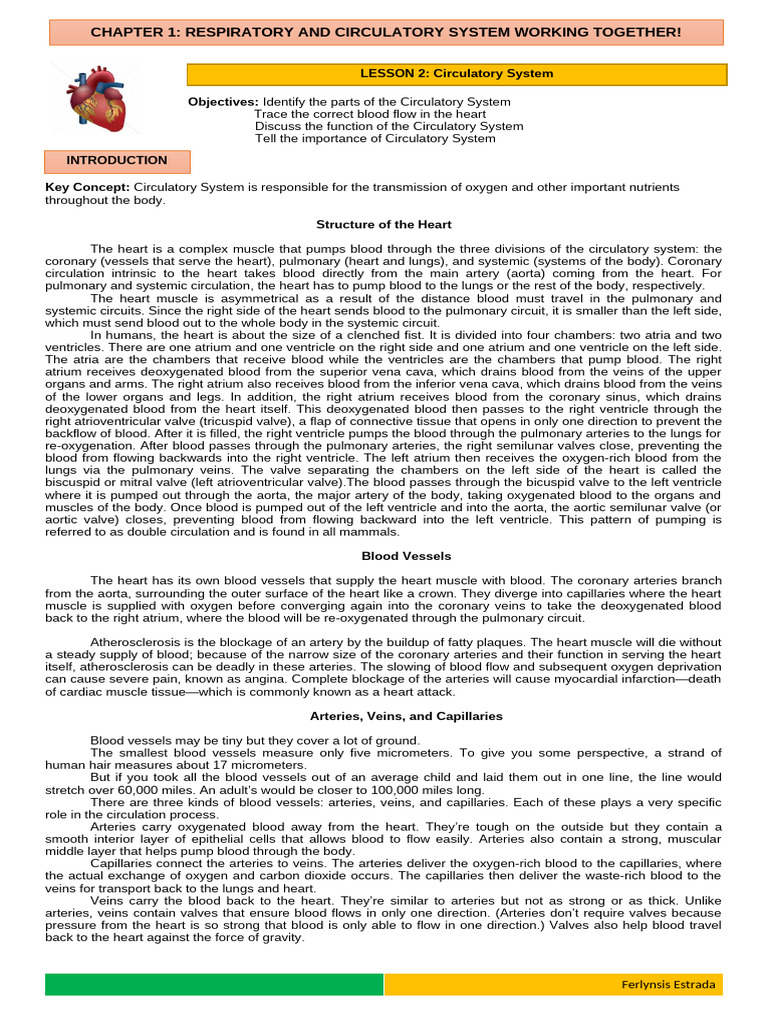 Chapter 1 L2 Q1.edited | PDF | Heart Valve | Poetry