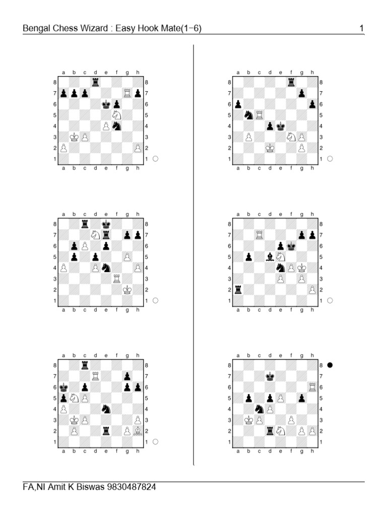 1 easy hook mate 1 6 pdf