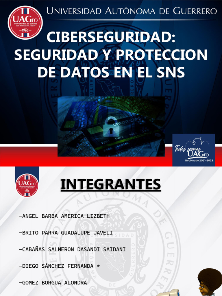 Ciberseguridad Seguridad y Proteccion de Datos en El Sns | PDF