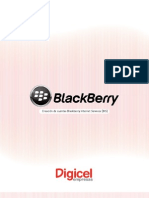 Blackberry Guia para Creacion Cuentas Bis