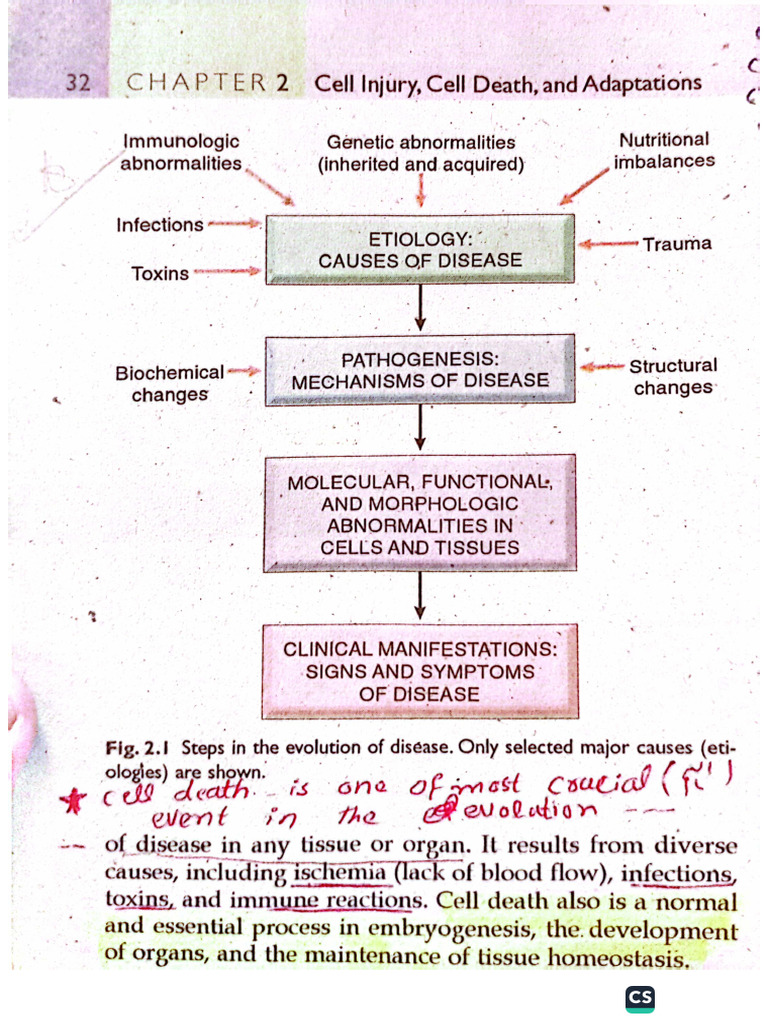 Summary of Pathology Topics | PDF
