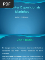 Ambiente deposicional marinho