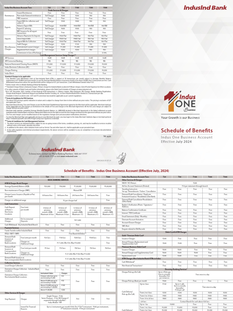 Indus One Business Account SOB | PDF