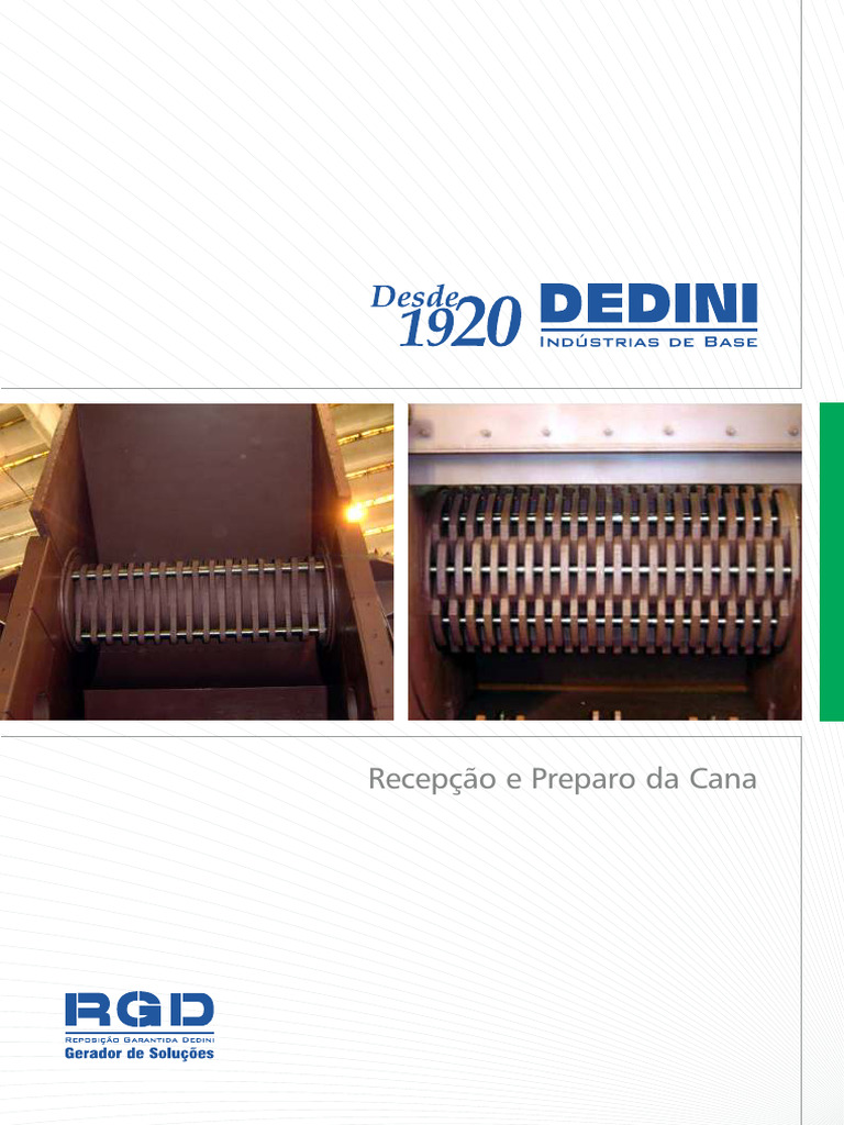 Bio Rpe | PDF