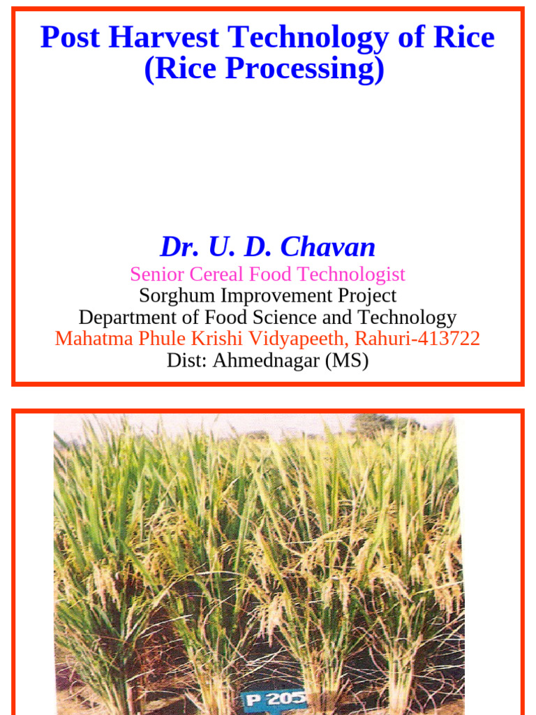 Rice Processing and Technology Overview | PDF | Rice