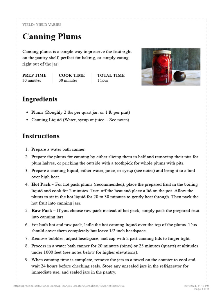 Canning Plums - Practical Self Reliance | PDF