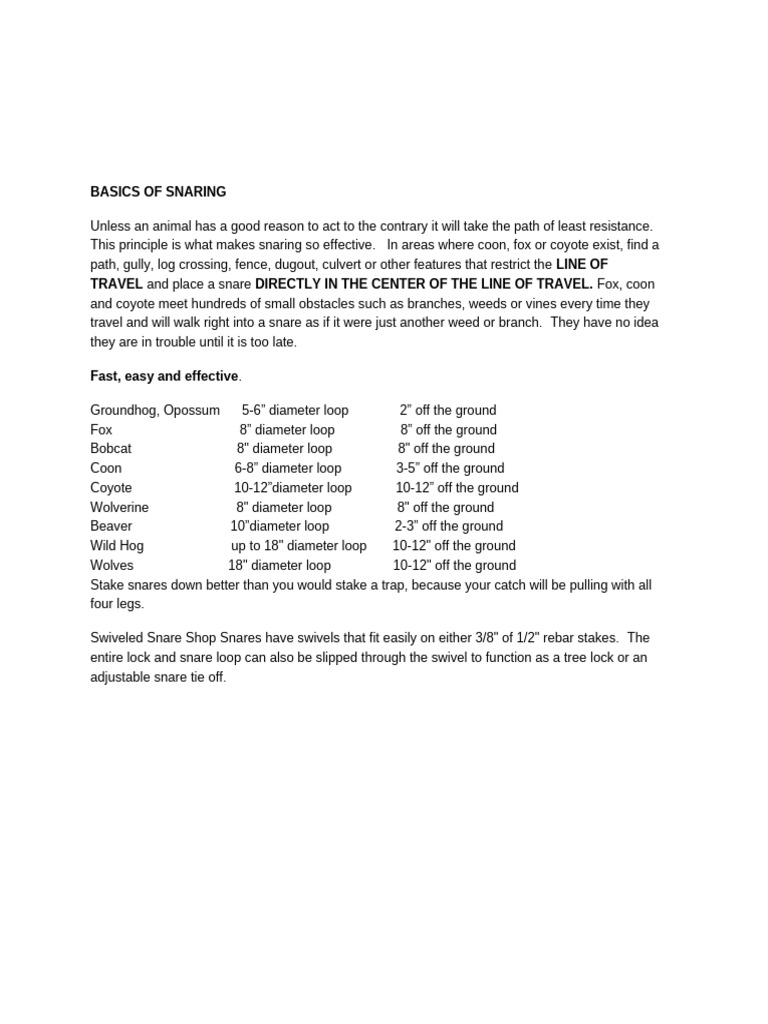 Dd Starter Kit Pdf