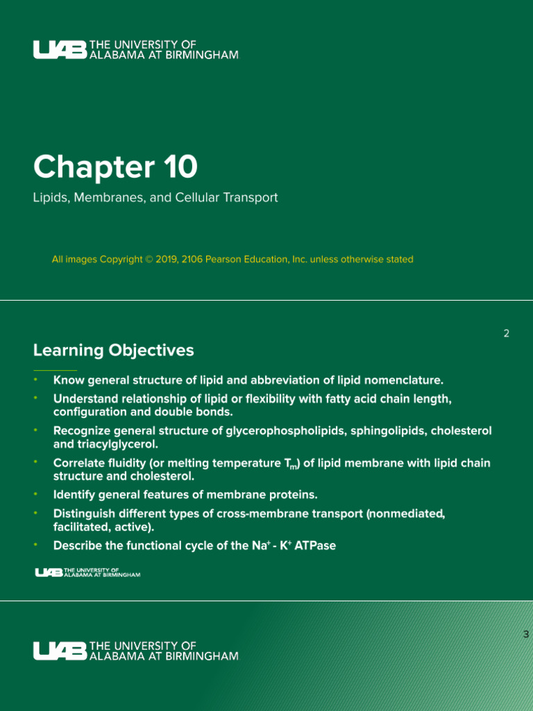 CH460 Chapter 10 Students | PDF