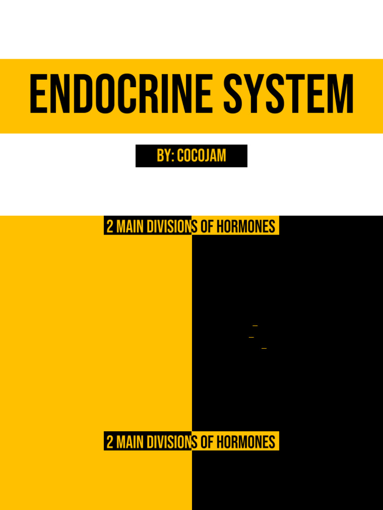 ENDOCRINE NOTES PDF visual data 3