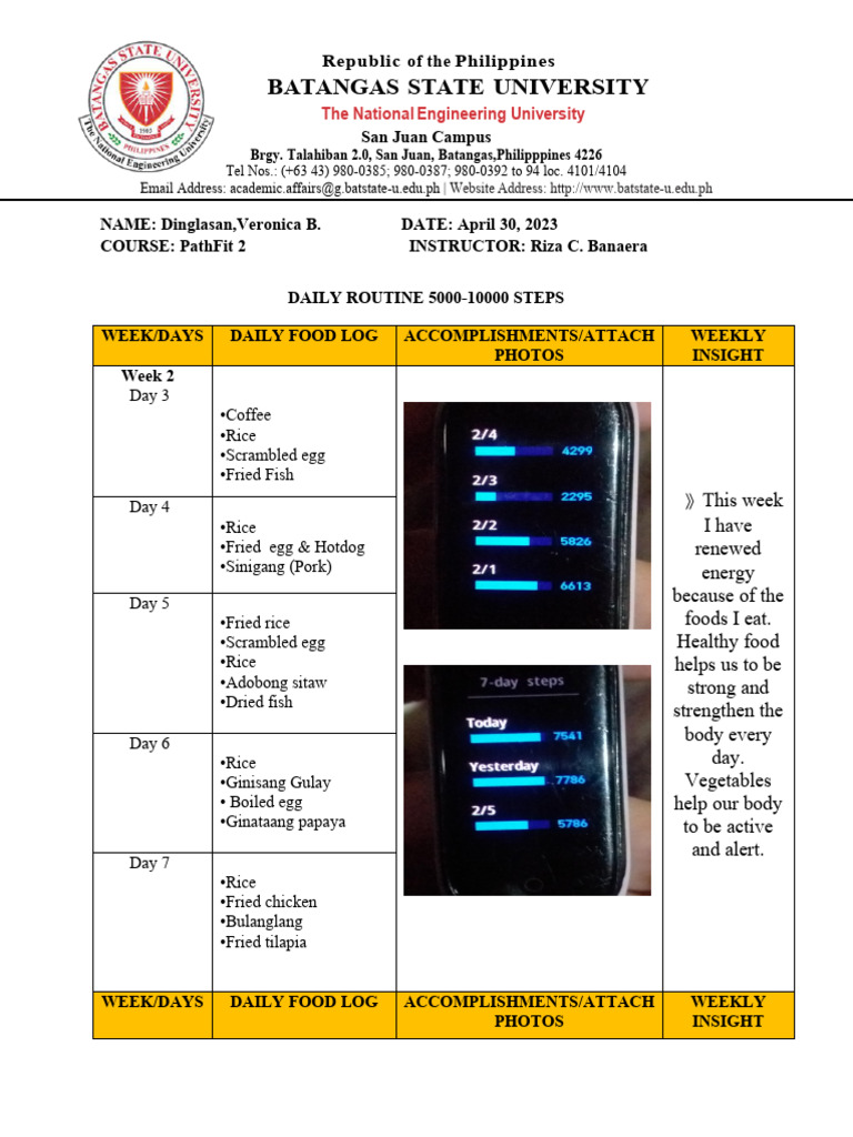 Path Fit | PDF