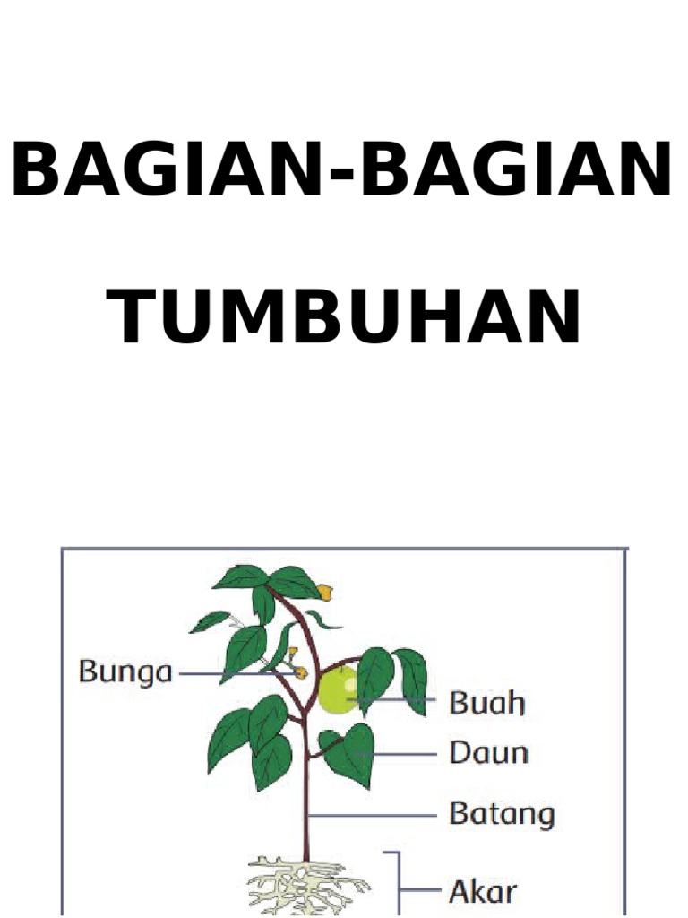Bagian-Bagian Tumbuhan | PDF