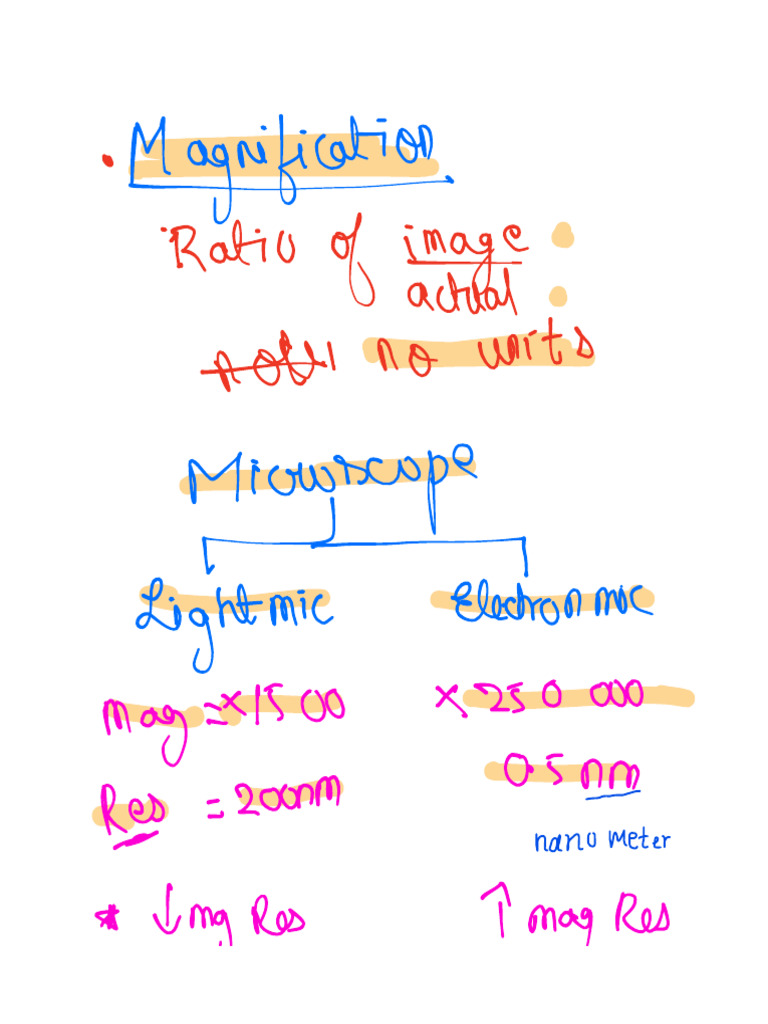 Note 7 Aug 2024 | PDF