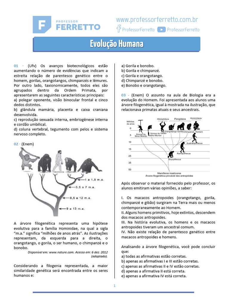 Questões Evolução Humana | PDF