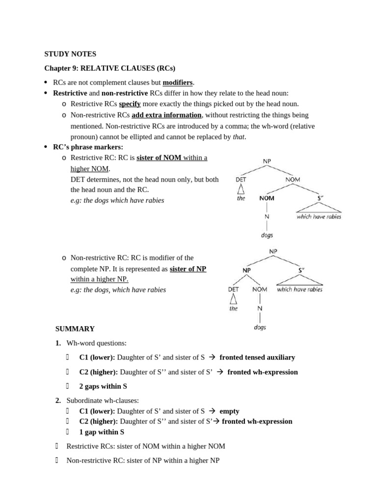 2022-study-notes-chapter-9-relative-clauses-pdf