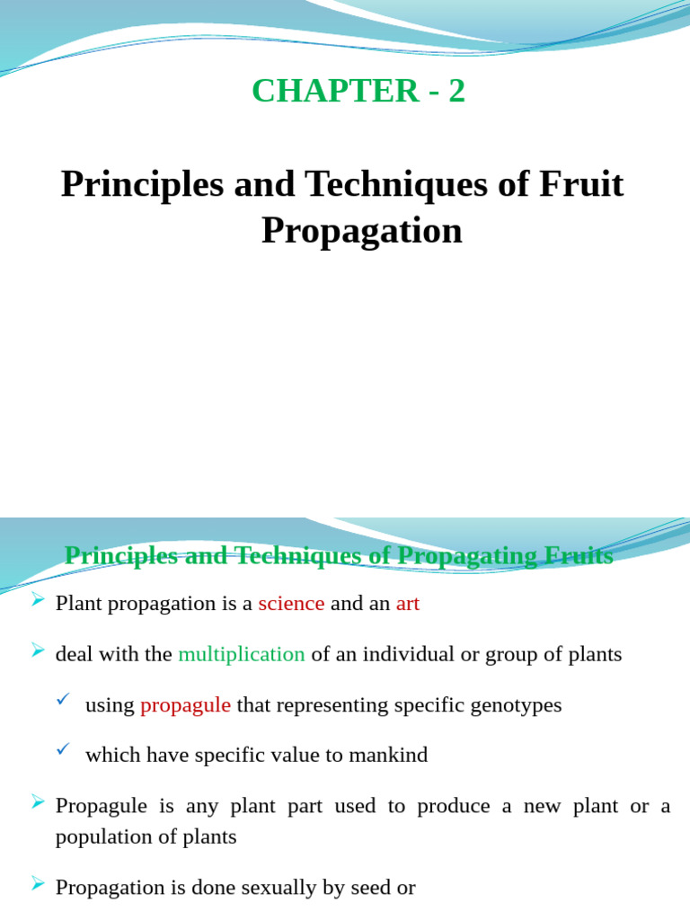 Fruit Propagation Techniques Explained | PDF | Grafting | Science ...