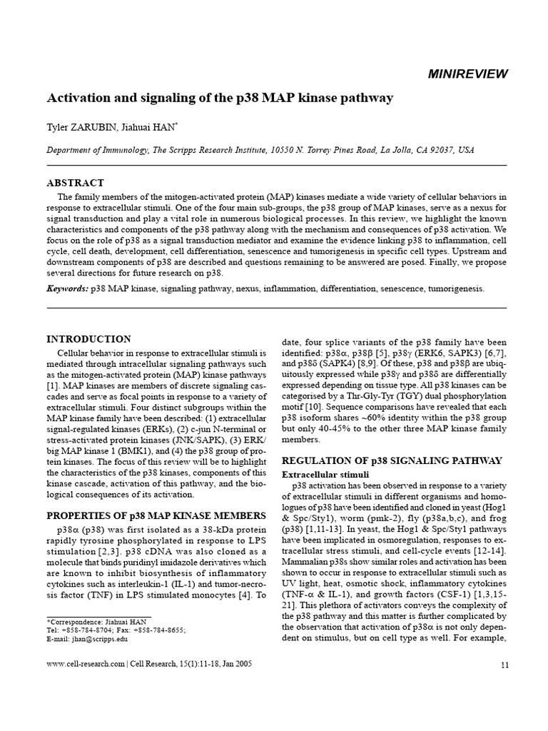 Activation and Signaling of The p38 MAP Kinase Pathway | PDF