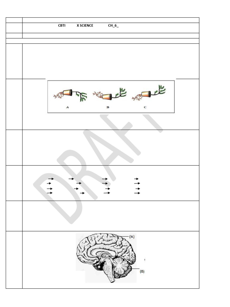 Control and Coordination MCQs for Science | PDF | Hormone | Endocrine ...