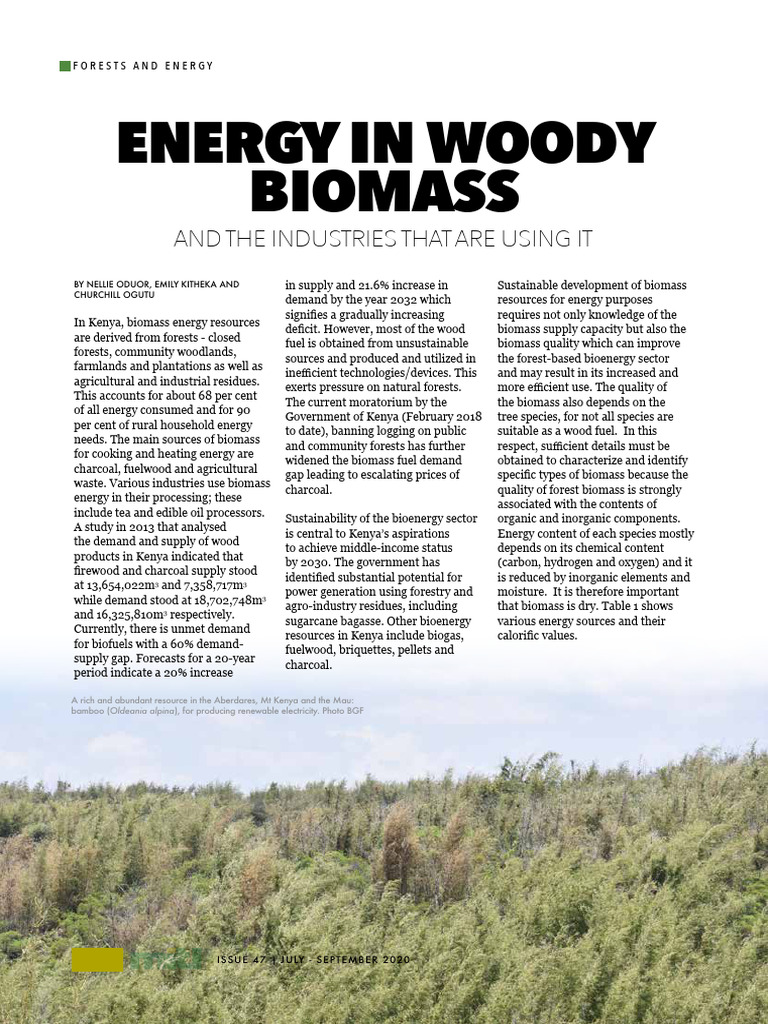 Energy in Woody Biomass 2020 | PDF