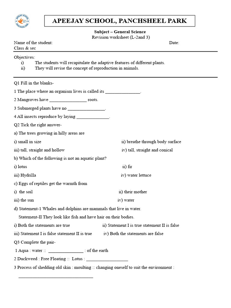 Class 4 Revision Worksheet L 2and 3 Pdf