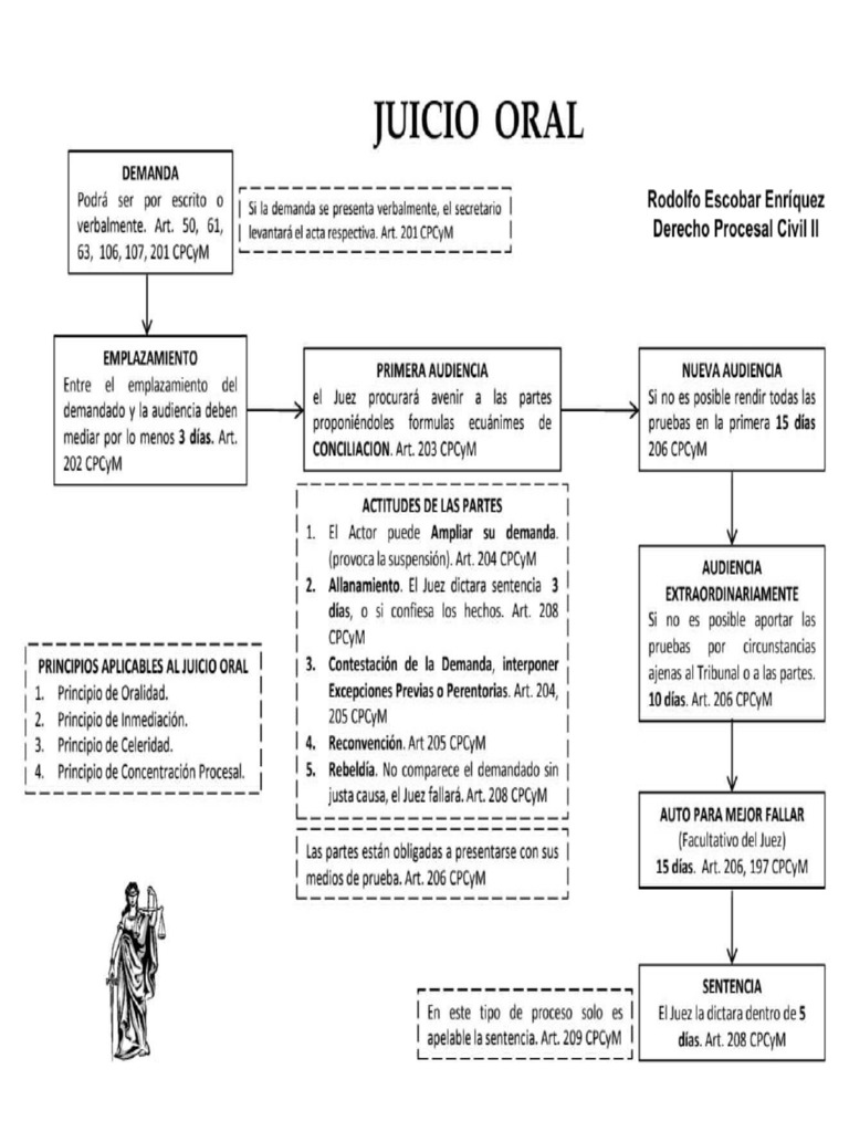 ESQUEMA JUICIO ORAL | PDF