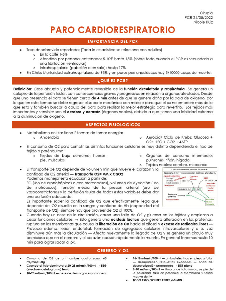 5 RCP | PDF
