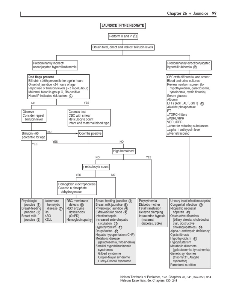 Jaundice Approach | PDF